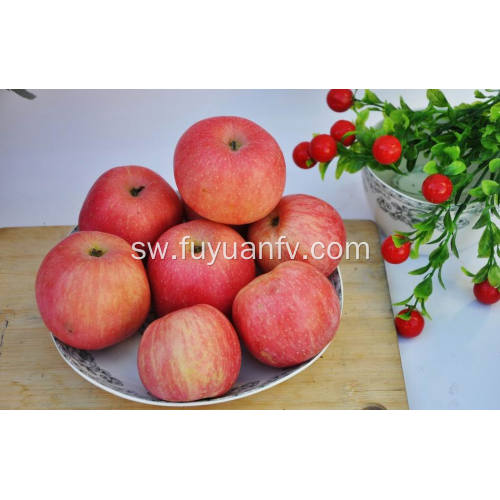 Export New Quality Mazao Bora Competitive Fuji apple